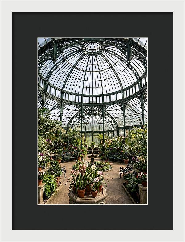Como Park Conservatory Oasis