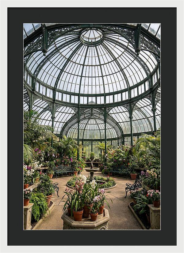 Como Park Conservatory Oasis