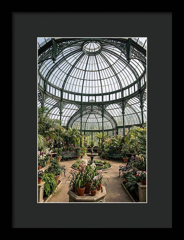 Como Park Conservatory Oasis