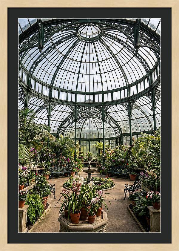 Como Park Conservatory Oasis