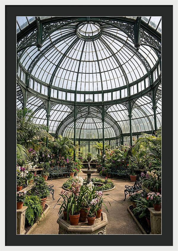 Como Park Conservatory Oasis
