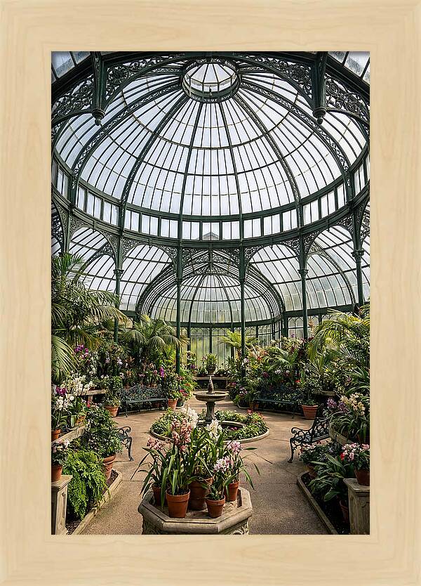 Como Park Conservatory Oasis