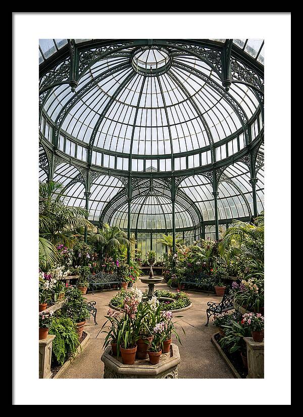 Como Park Conservatory Oasis
