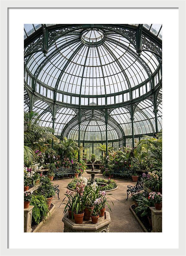 Como Park Conservatory Oasis