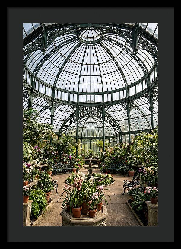 Como Park Conservatory Oasis