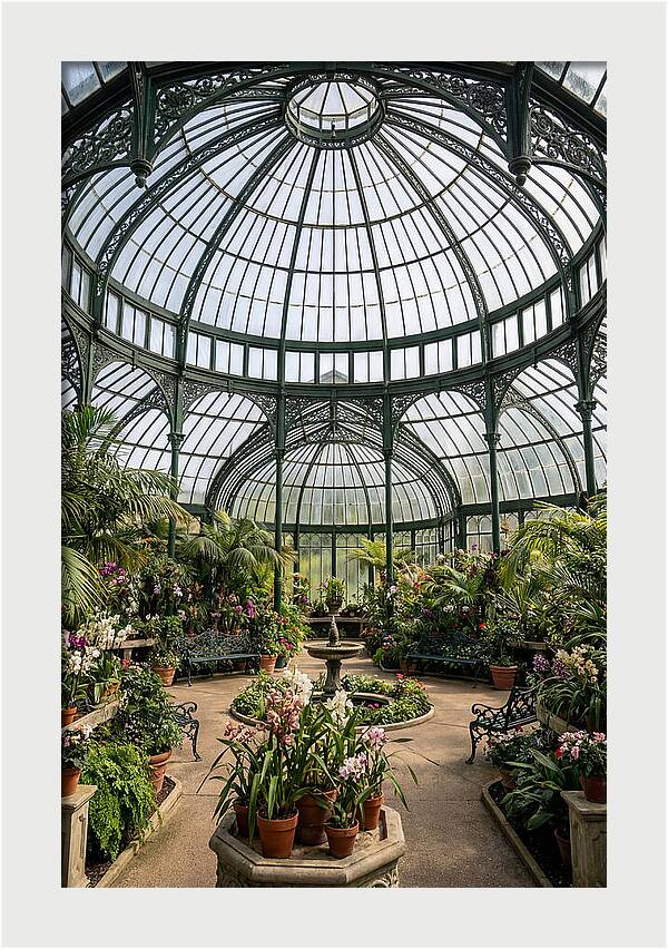 Como Park Conservatory Oasis