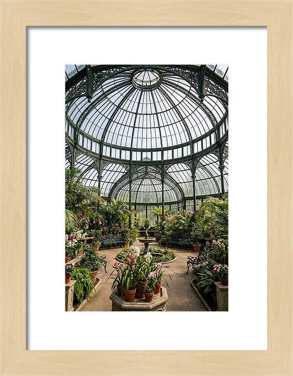 Como Park Conservatory Oasis