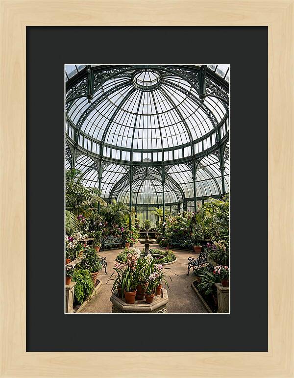 Como Park Conservatory Oasis