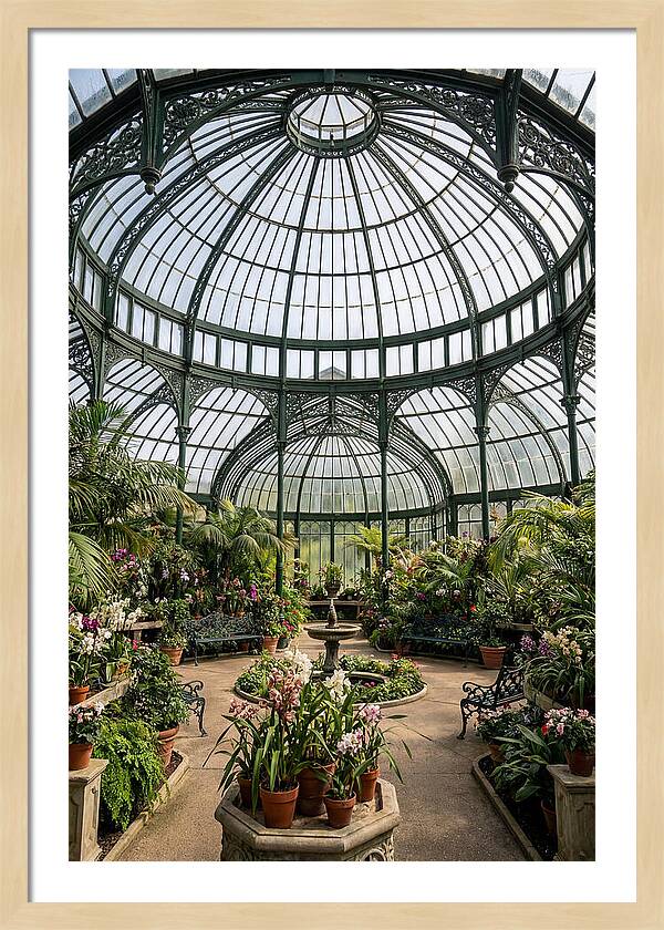 Como Park Conservatory Oasis