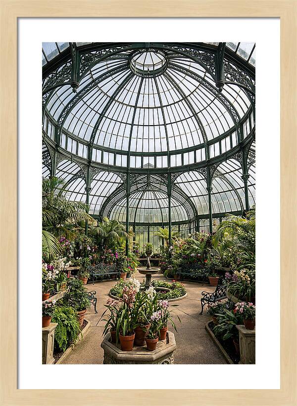 Como Park Conservatory Oasis