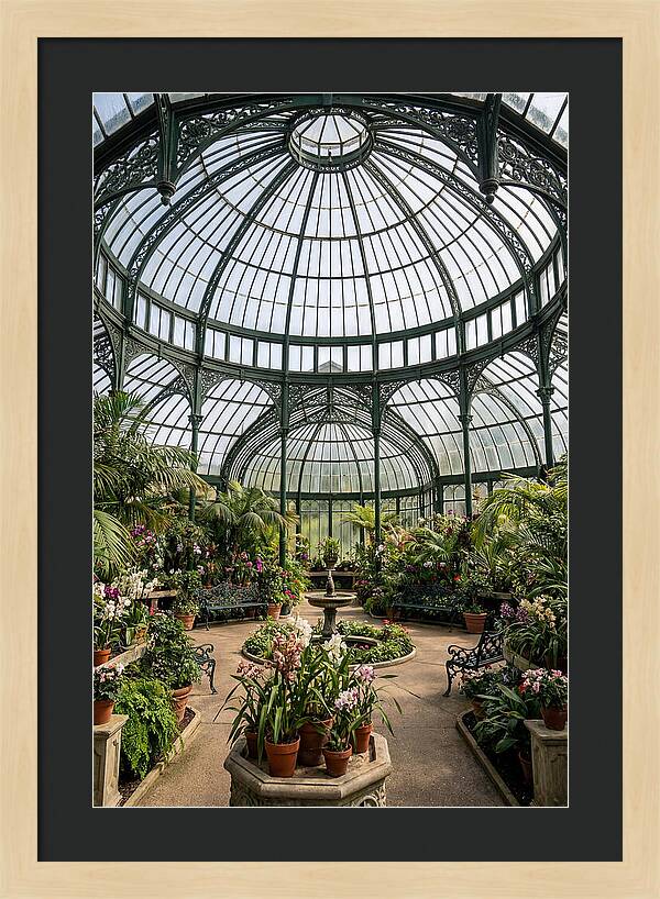 Como Park Conservatory Oasis