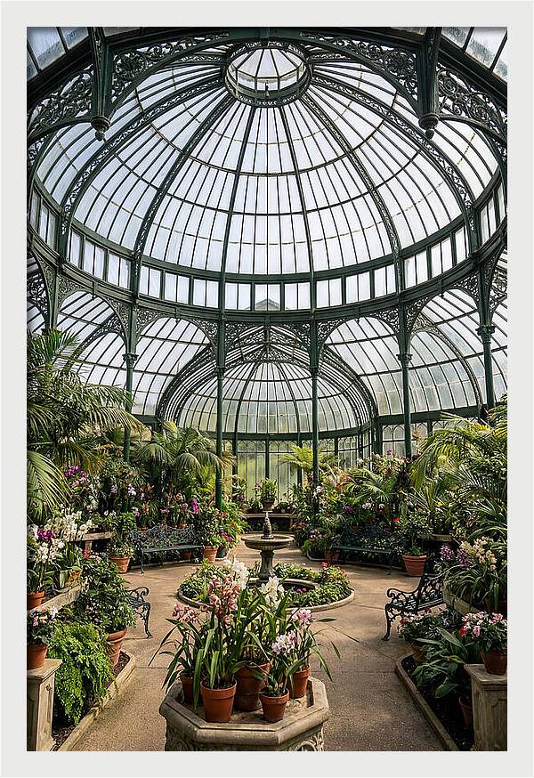 Como Park Conservatory Oasis