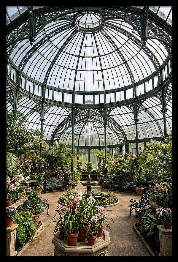 Como Park Conservatory Oasis