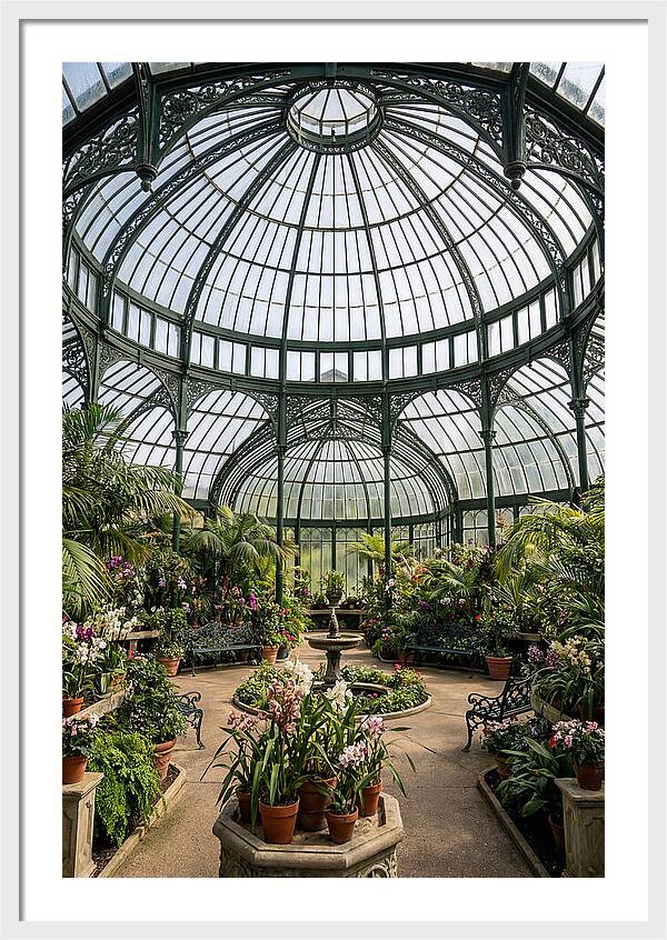 Como Park Conservatory Oasis