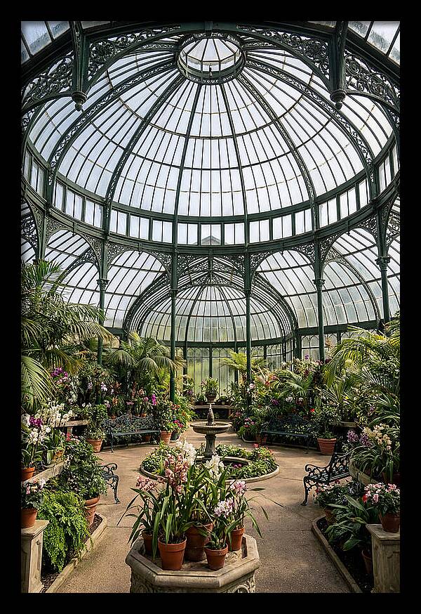 Como Park Conservatory Oasis