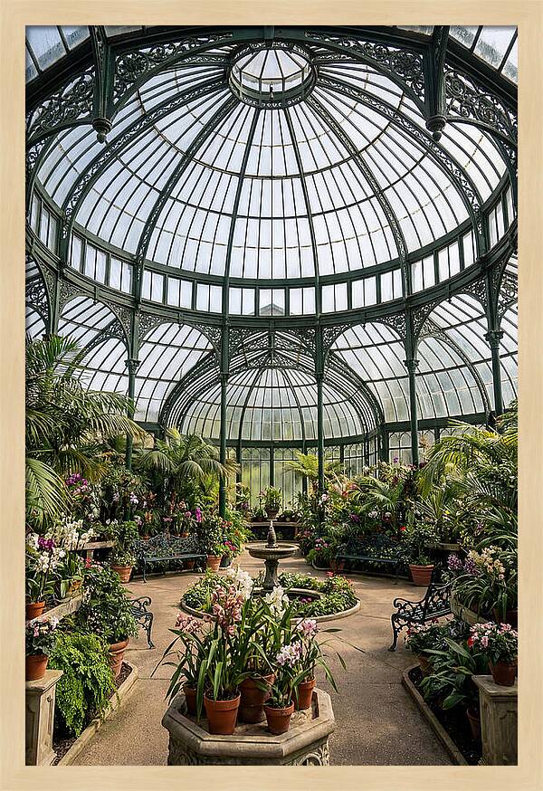 Como Park Conservatory Oasis