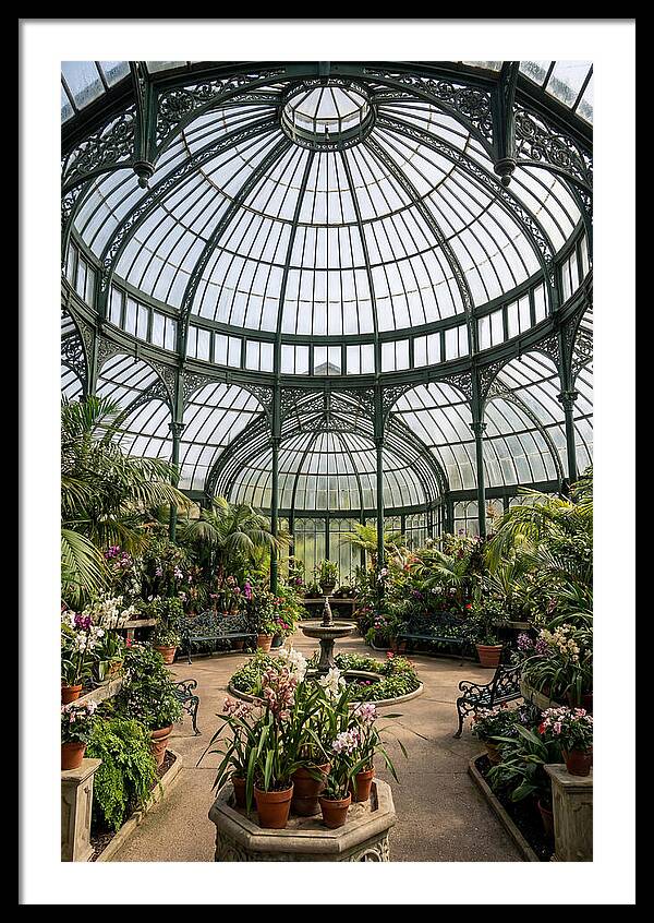 Como Park Conservatory Oasis