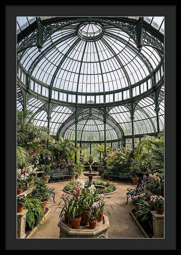 Como Park Conservatory Oasis
