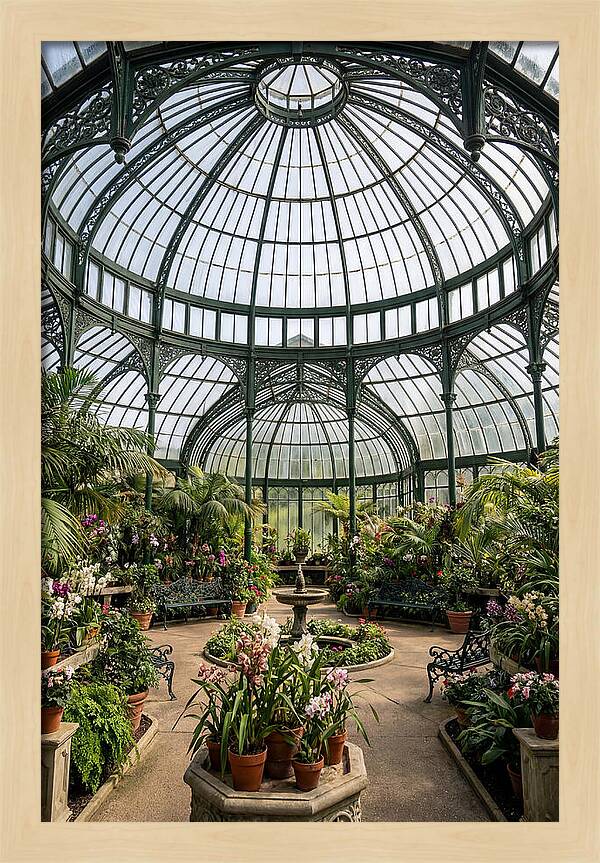 Como Park Conservatory Oasis
