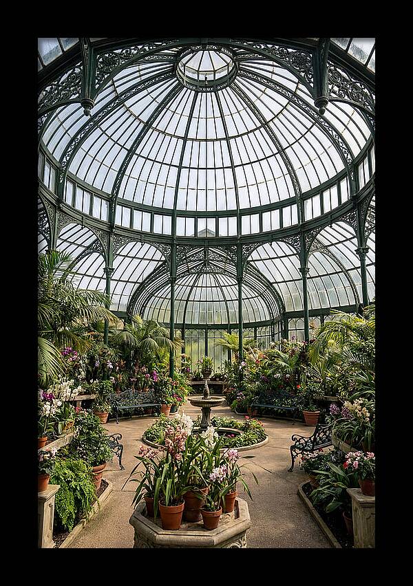 Como Park Conservatory Oasis