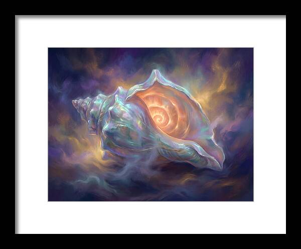 Conch Shell