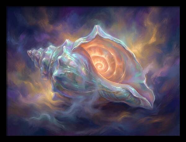 Conch Shell
