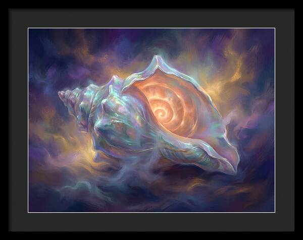 Conch Shell