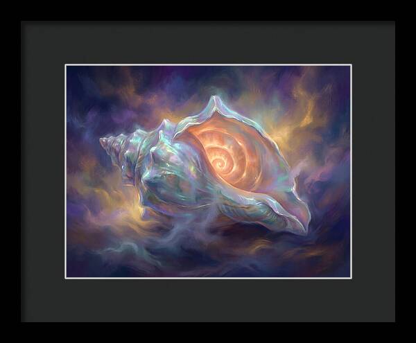Conch Shell