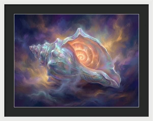 Conch Shell
