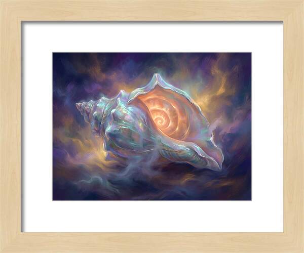 Conch Shell