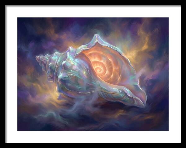 Conch Shell