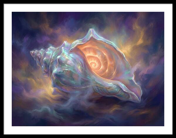 Conch Shell
