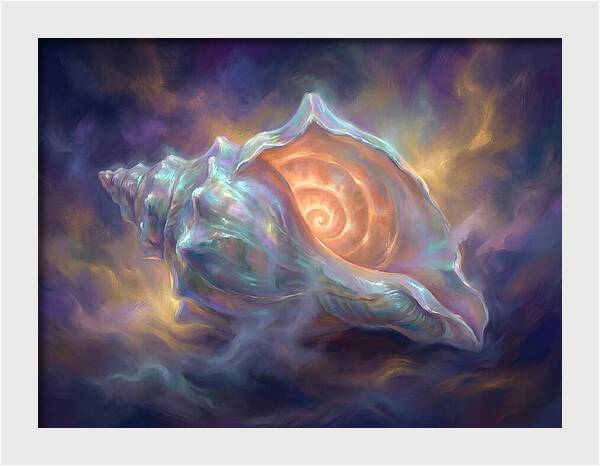 Conch Shell