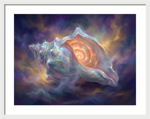 Conch Shell