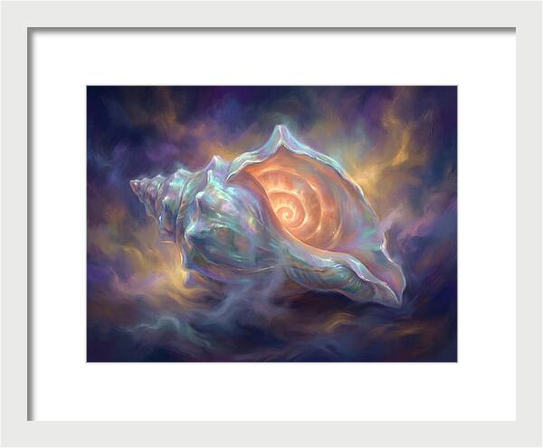 Conch Shell