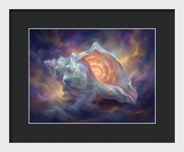 Conch Shell