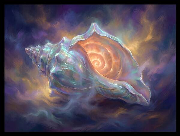 Conch Shell