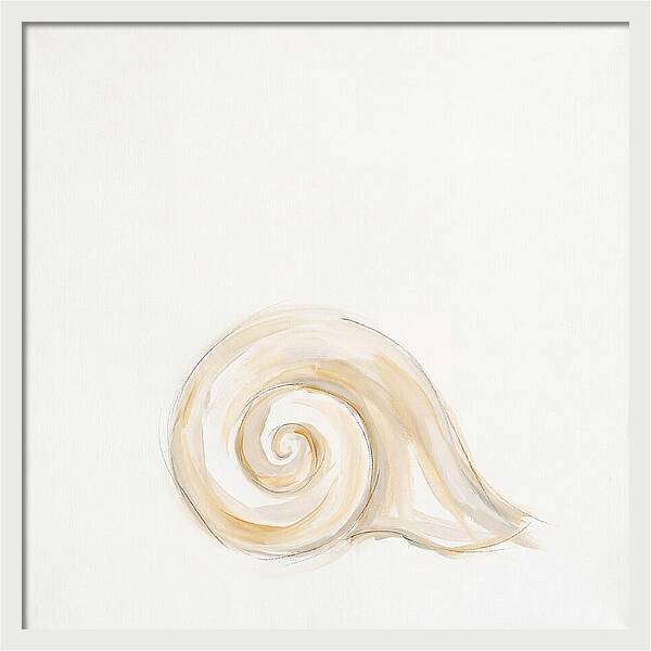 Conch Shell Elegance