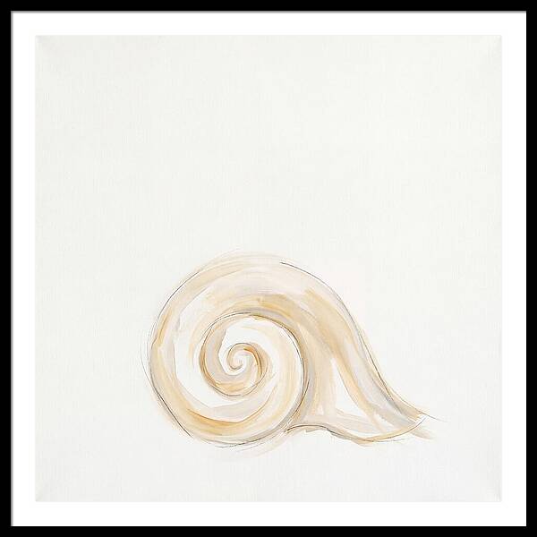 Conch Shell Elegance