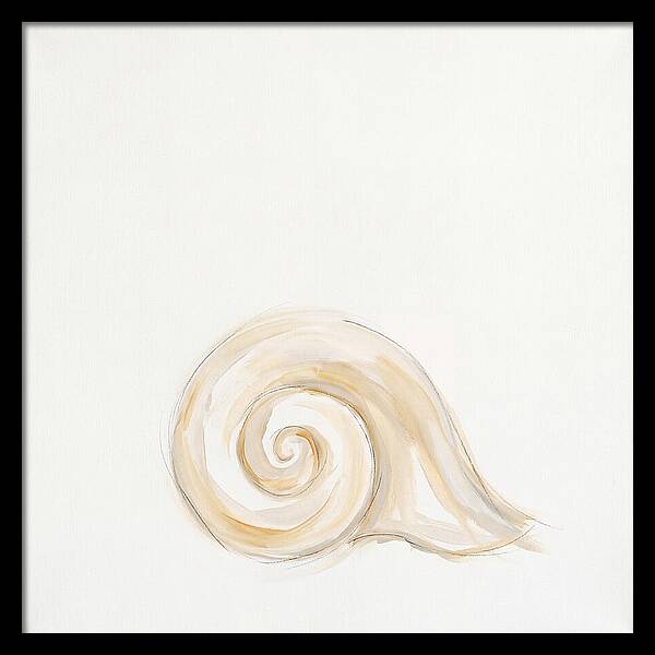 Conch Shell Elegance