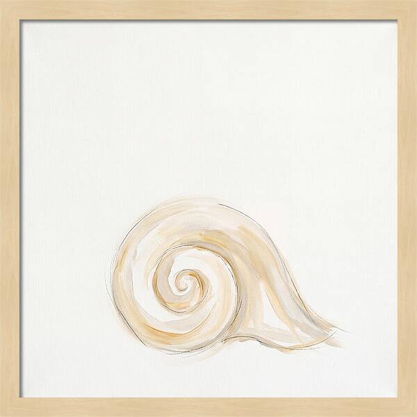 Conch Shell Elegance