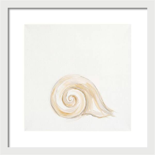 Conch Shell Elegance