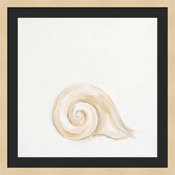 Conch Shell Elegance