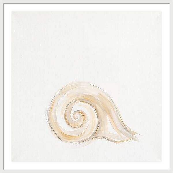 Conch Shell Elegance