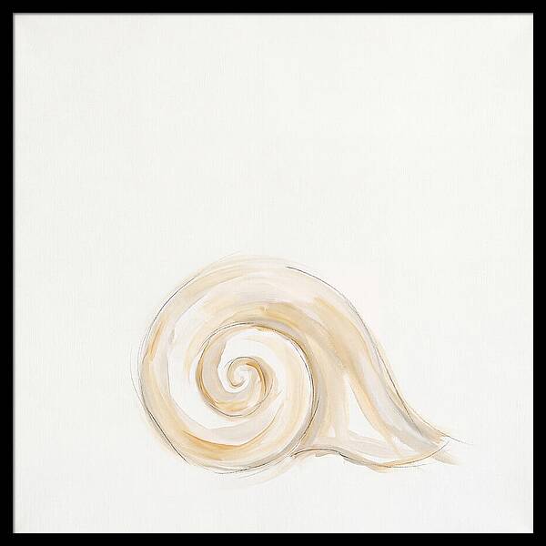 Conch Shell Elegance