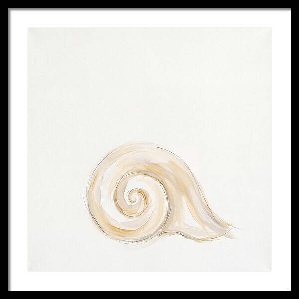 Conch Shell Elegance