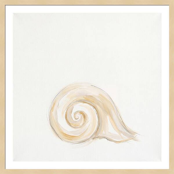 Conch Shell Elegance