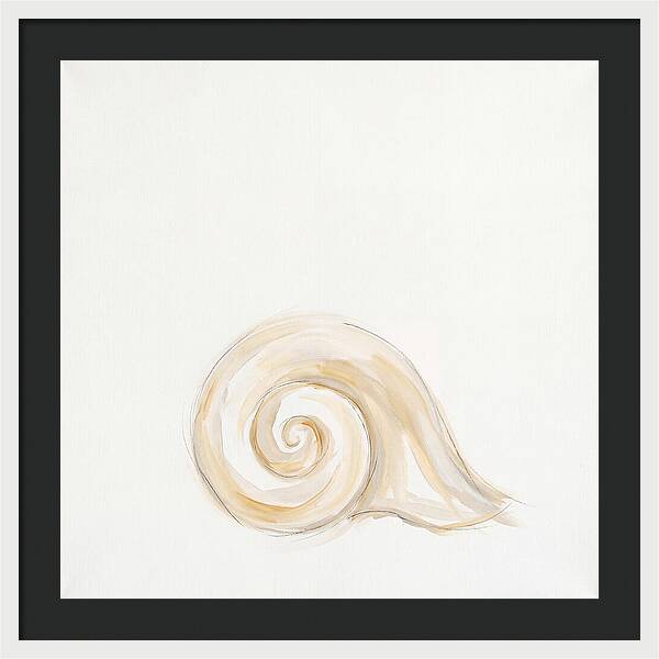 Conch Shell Elegance