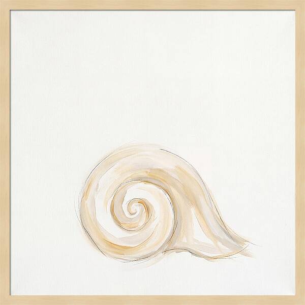 Conch Shell Elegance