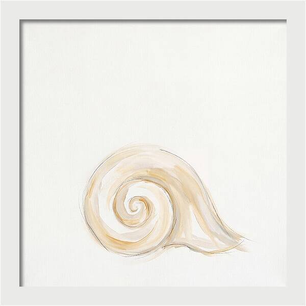 Conch Shell Elegance